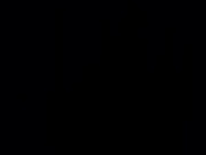exstealler's webcam