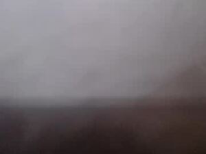 eyesofleow's webcam