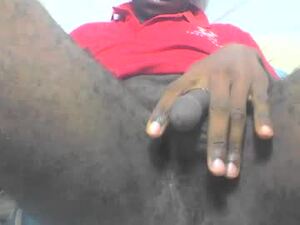 falin001's webcam