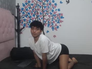 felipecams's webcam