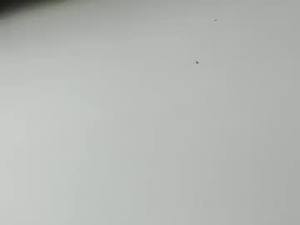 fkwell's webcam