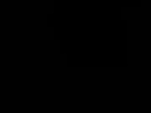 flo8600's webcam