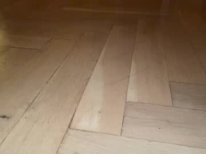 forestguy08's webcam