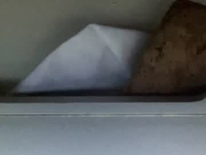 geezeranon60's webcam