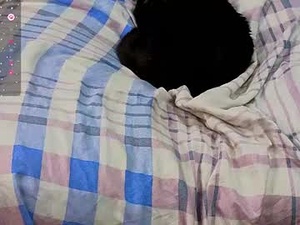 glenn_fiddich_18's webcam