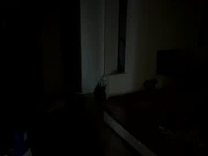 glennisfritsche's webcam