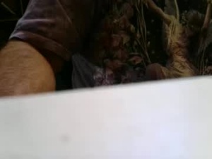 grandote2929's webcam