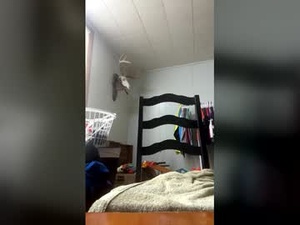 halfoftwelve's webcam