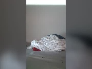 heinz_dauerhart's webcam