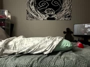 hooksetloo's webcam