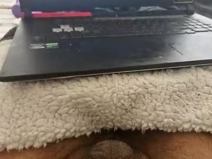 hornyfuckerbgdick69's webcam
