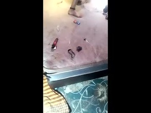 isaldatrans's webcam