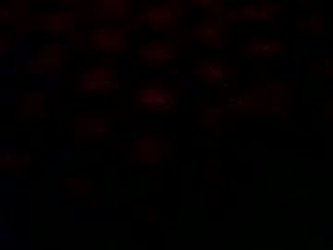 isca760752's webcam