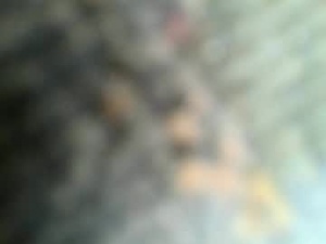 jano7477's webcam
