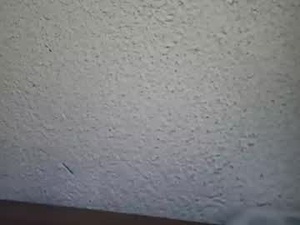 javierla9's webcam