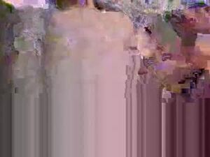 jayhorn1989's webcam
