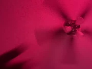 jayvainknox6's webcam