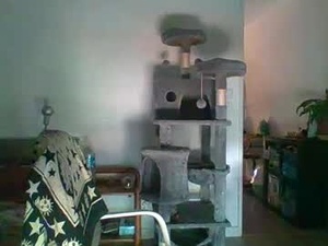 jesssijess's webcam