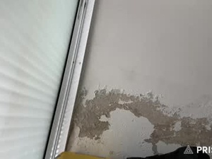 jimorisso's webcam