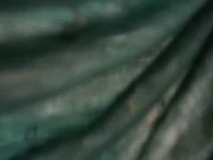johan_kitten's webcam