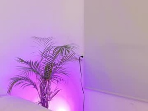 karolpetite's webcam