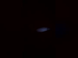 katyaklein7's webcam