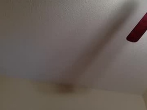 kennedy1024's webcam