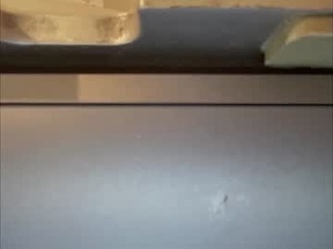 kittysocks88's webcam