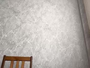 lanihadland's webcam