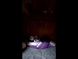 lauraprogamer12's webcam