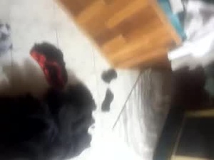 lex123570655's webcam