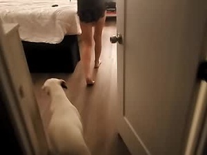 lickerlittlelover's webcam