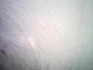 lickinherpussy's webcam