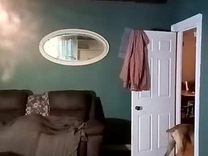 loardhellmet's webcam