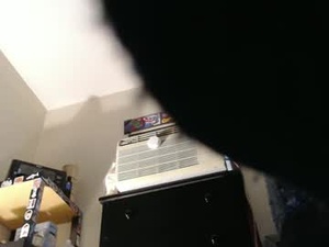 longstokeer's webcam