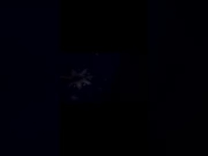 lovesherfeet22's webcam