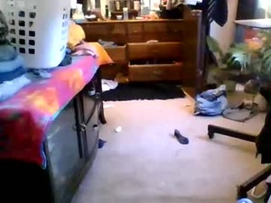 lowkeydl's webcam