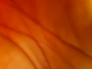 luis1988359333's webcam