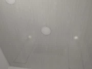 lunaanddante_'s webcam