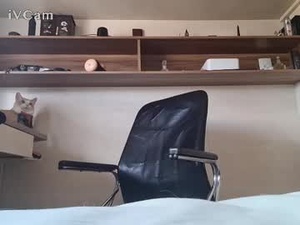 lustdrivenman's webcam