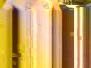 luv_2_swallow's webcam