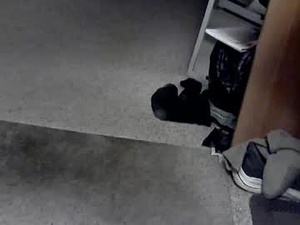 lynne1_cd_nj's webcam