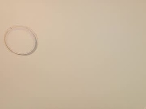 maax_steel_'s webcam