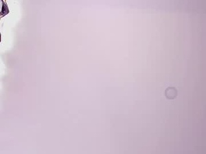 manuisaza's webcam