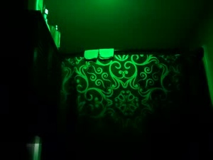 maximusdemitrious's webcam