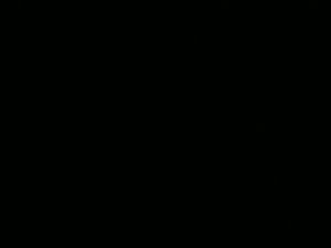 merluq's webcam