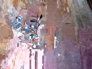 mickey_2007's webcam
