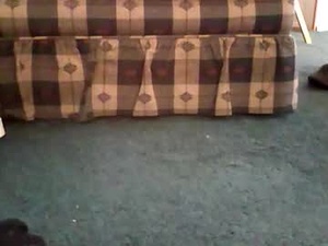 mikeydamick's webcam