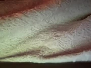 mr_owl's webcam