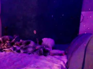 mrright8799114's webcam